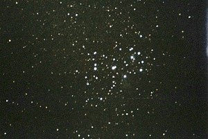 The Pleiades, M45 in Taurus. Photo copyright Ed Flaspoehler.