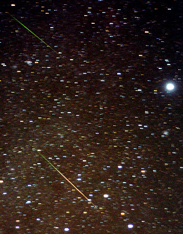 Leonids in Canis Major - Copyright by Mike Linnolt, Hololiulu, HI